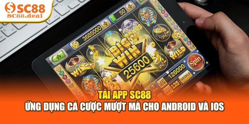 Tải App SC88 - Ứng Dụng Cá Cược Mượt Mà Cho Android Và iOS
